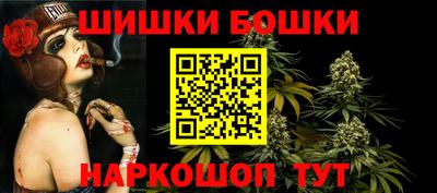 мдпв Обь