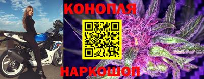мдпв Обь