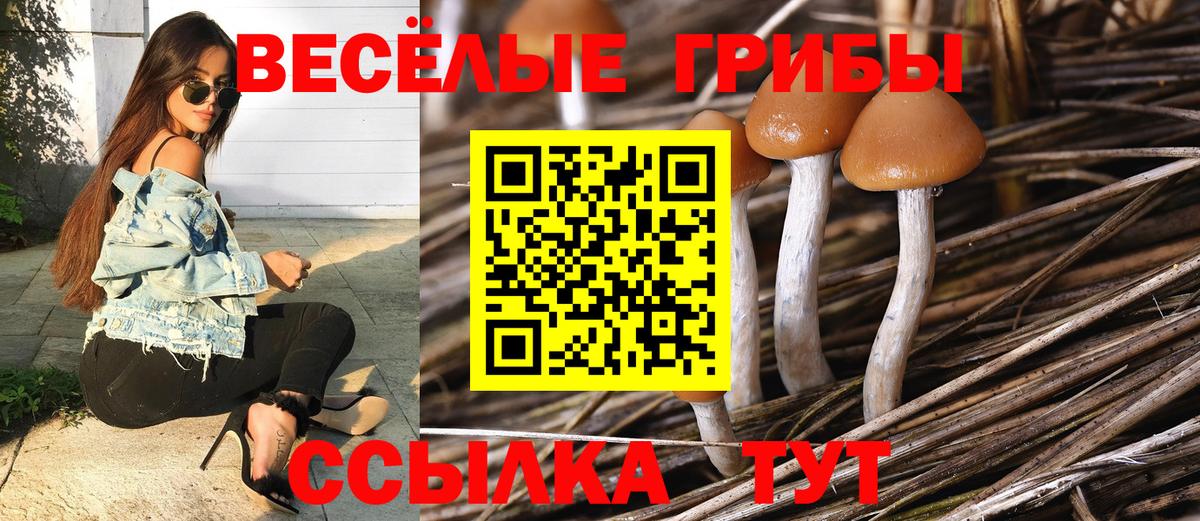 Псилоцибиновые грибы MAGIC MUSHROOMS Сухой Лог