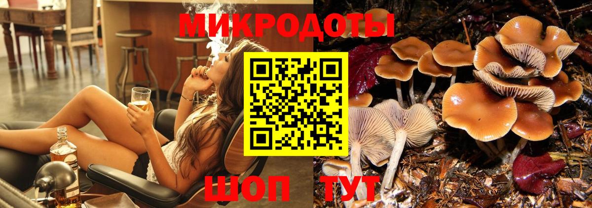 Псилоцибиновые грибы Magic Shrooms  Псилоцибиновые грибы прущие грибы  Сухой Лог  Вход с VPN 